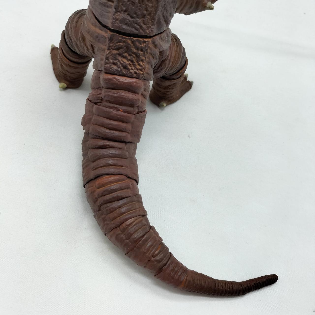 尻尾も綺麗です