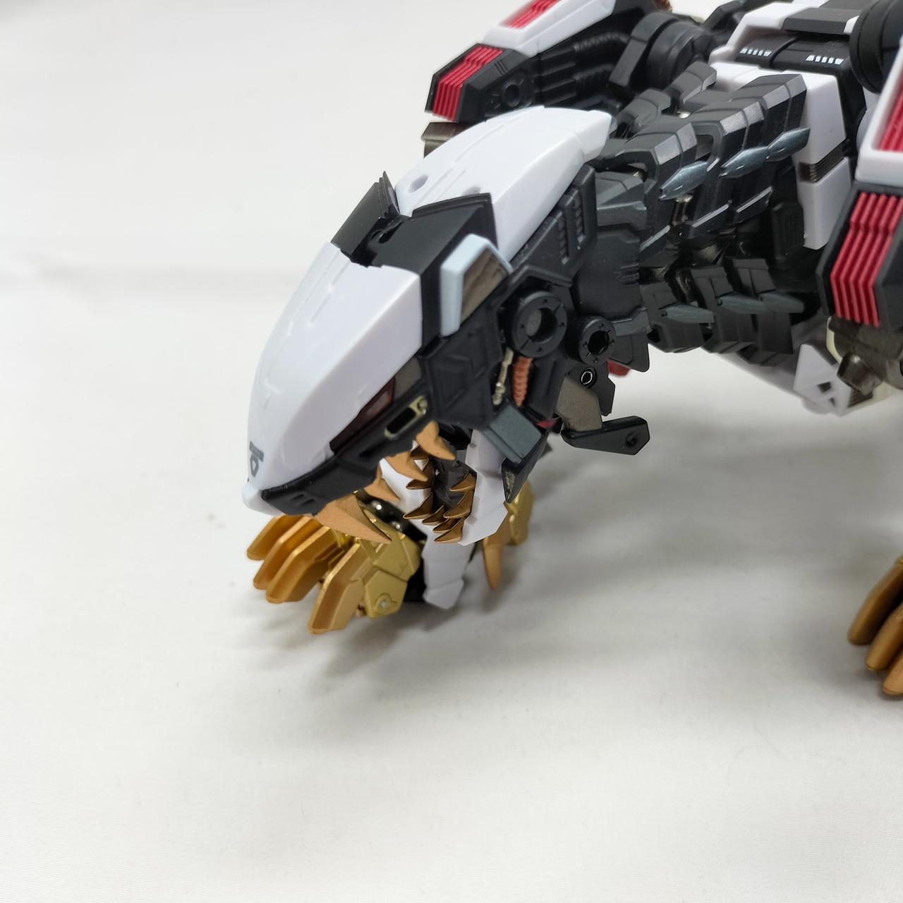 目立った傷みは見られません