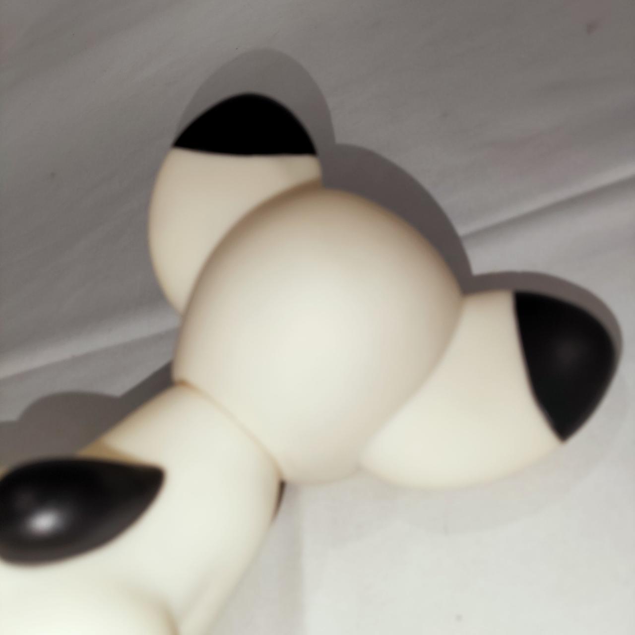 傷みが見られます