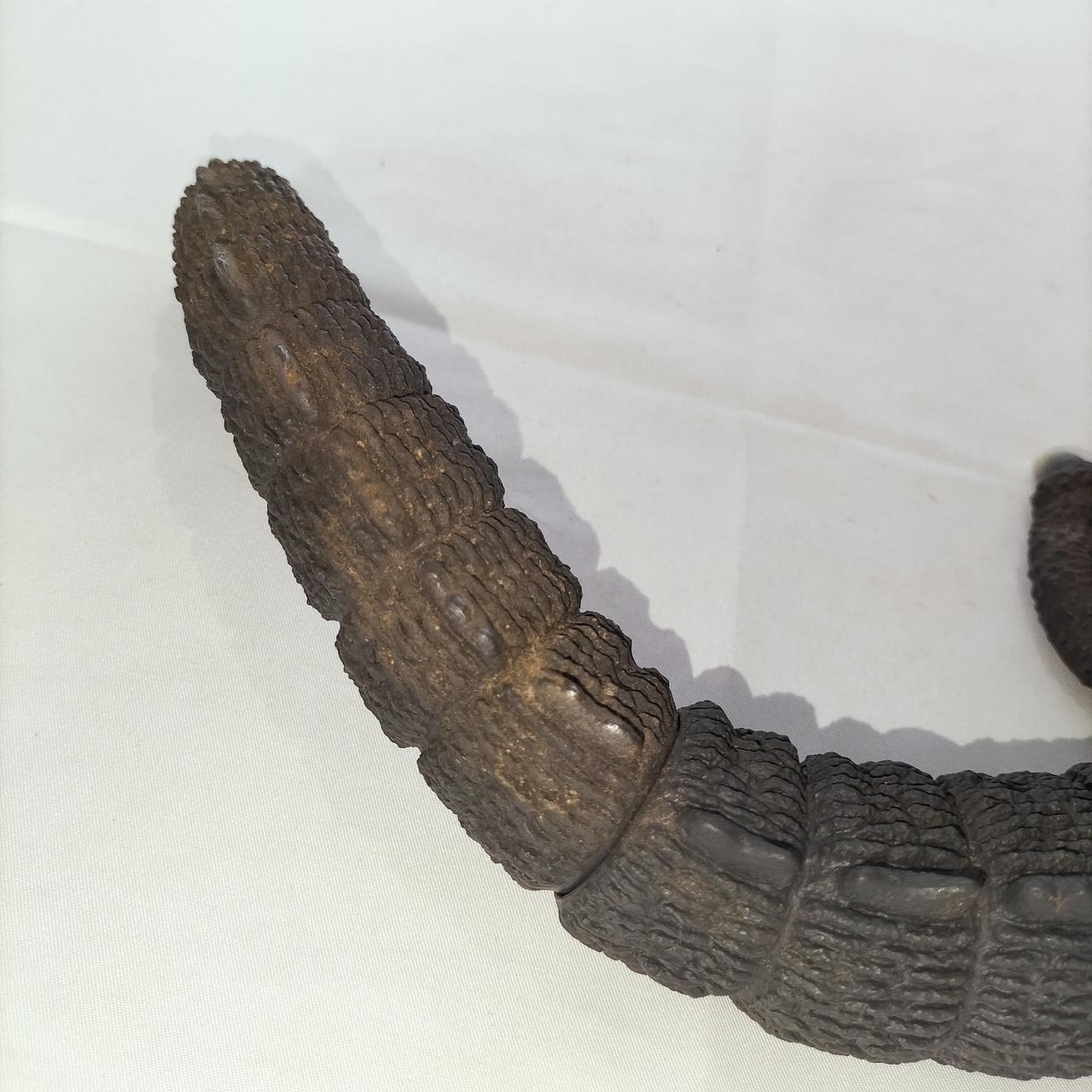 傷みが見られます