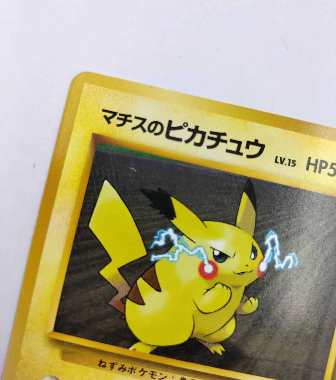 尻尾の上に小さなキズあり