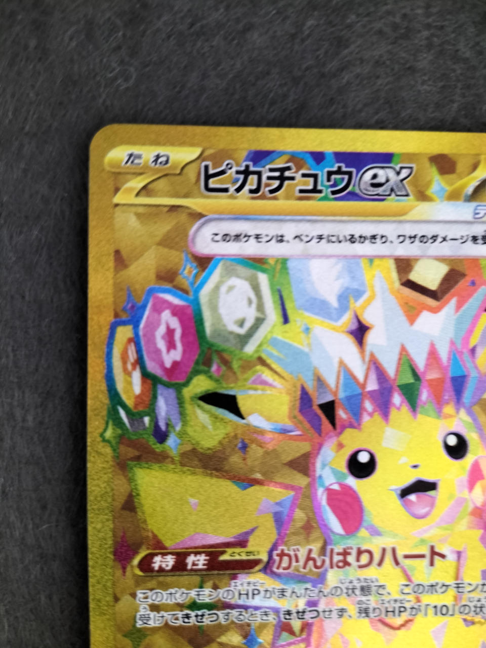 株式会社ポケモン|ポケモンカード|HARDOFFオフモール（オフモ