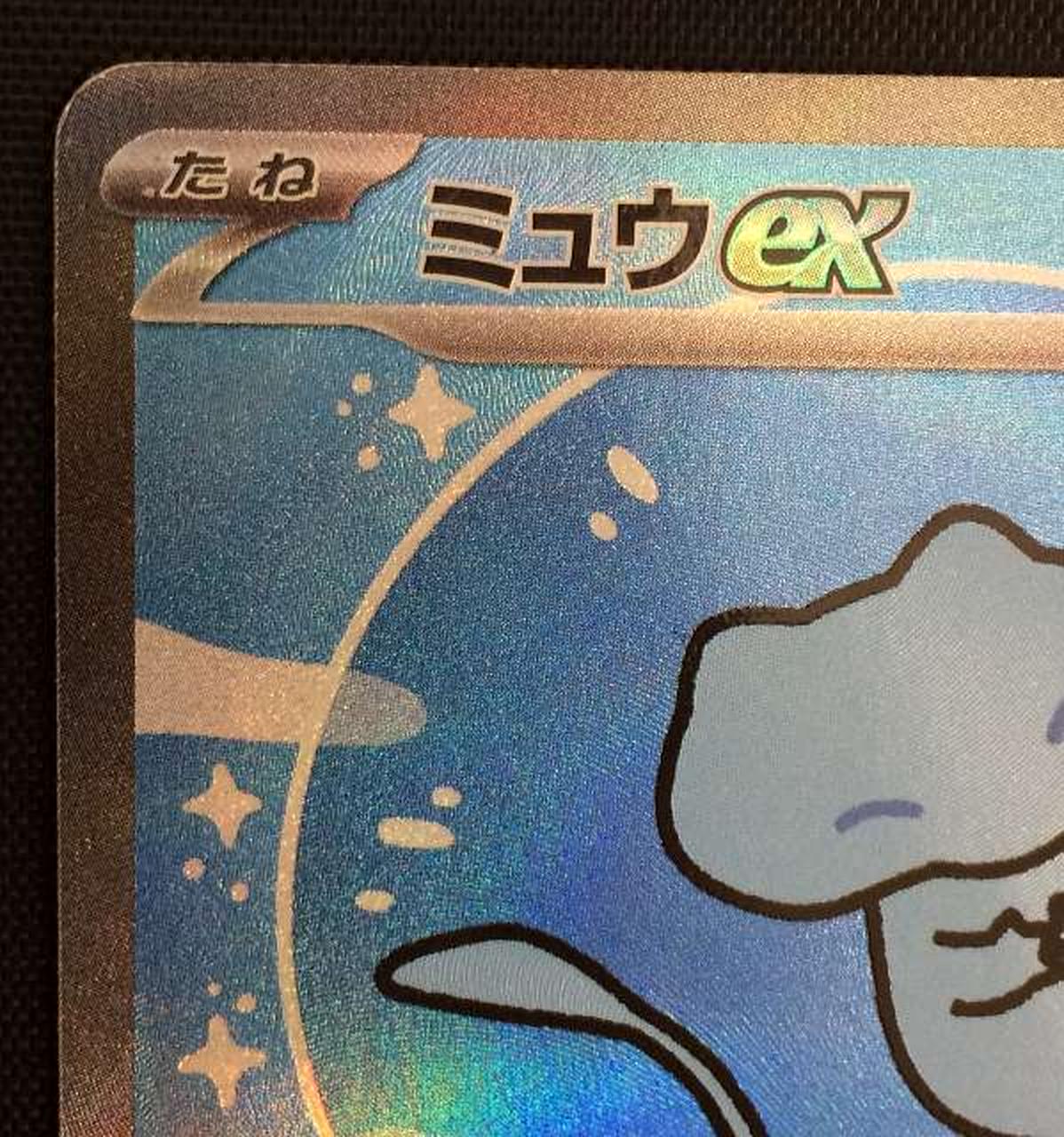 白欠け・擦れ有り