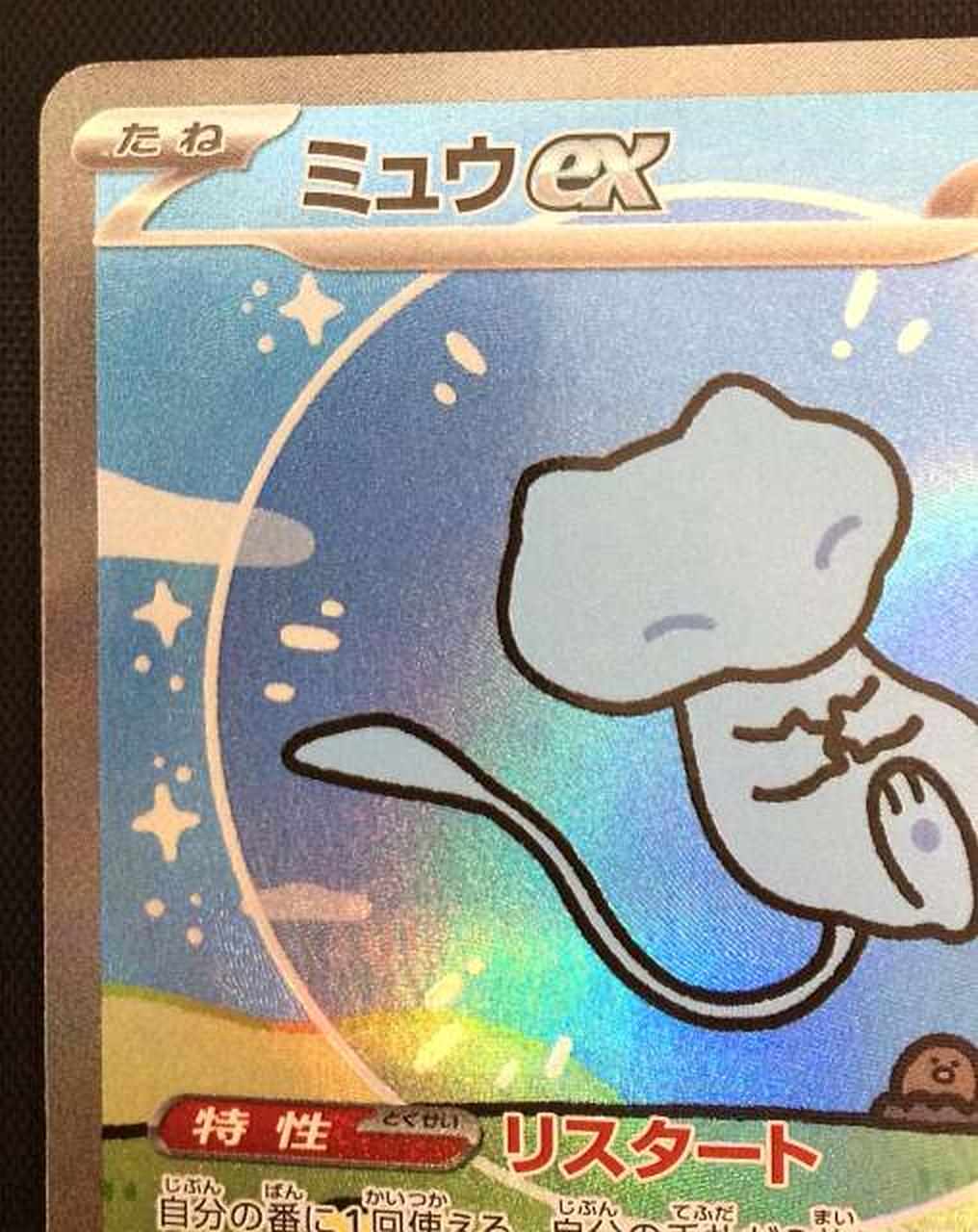 白欠け・擦れ有り