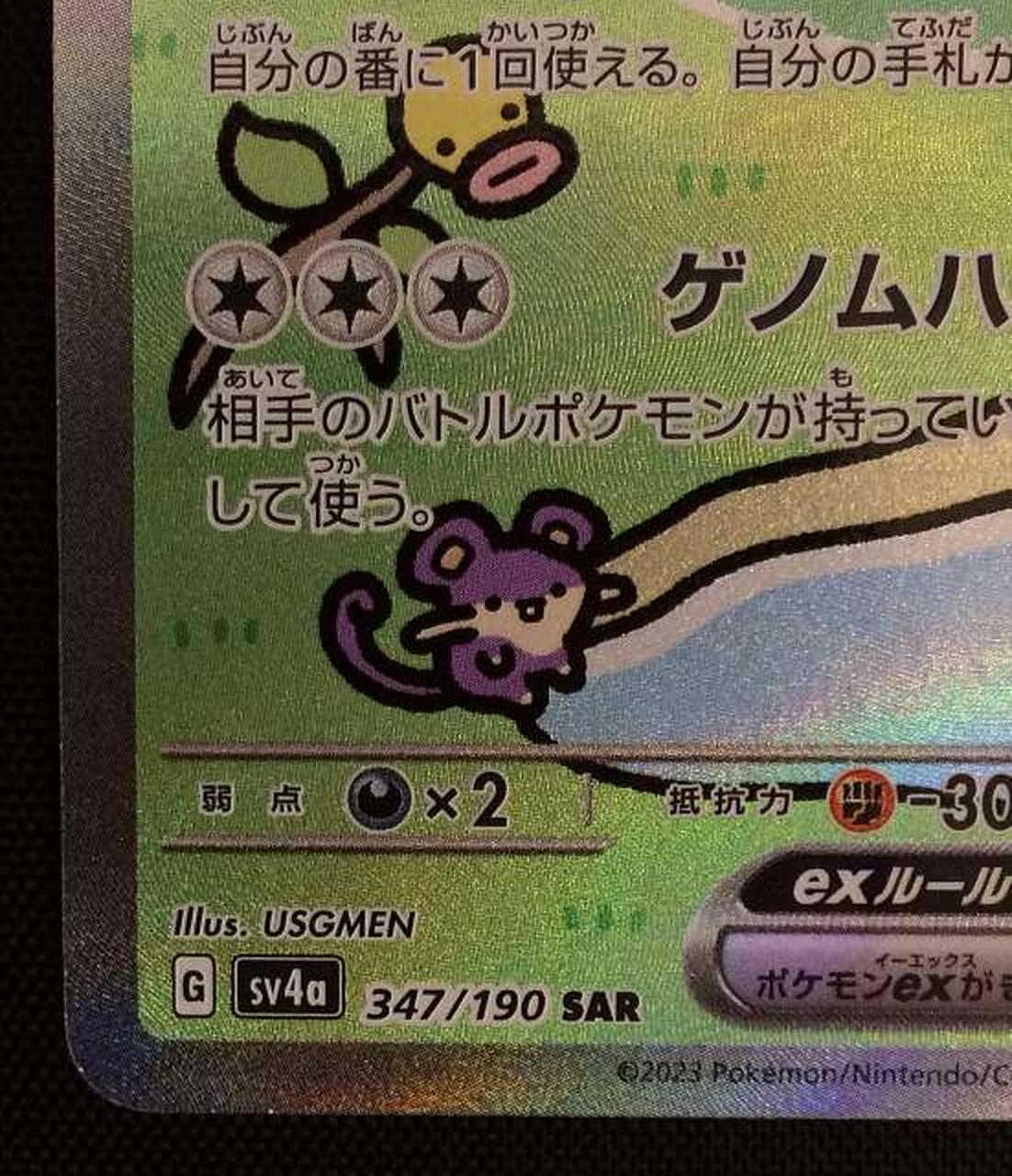 白欠け・擦れ有り