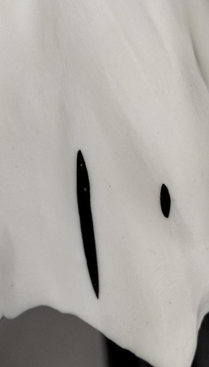 黒い部分塗装剥げ有り