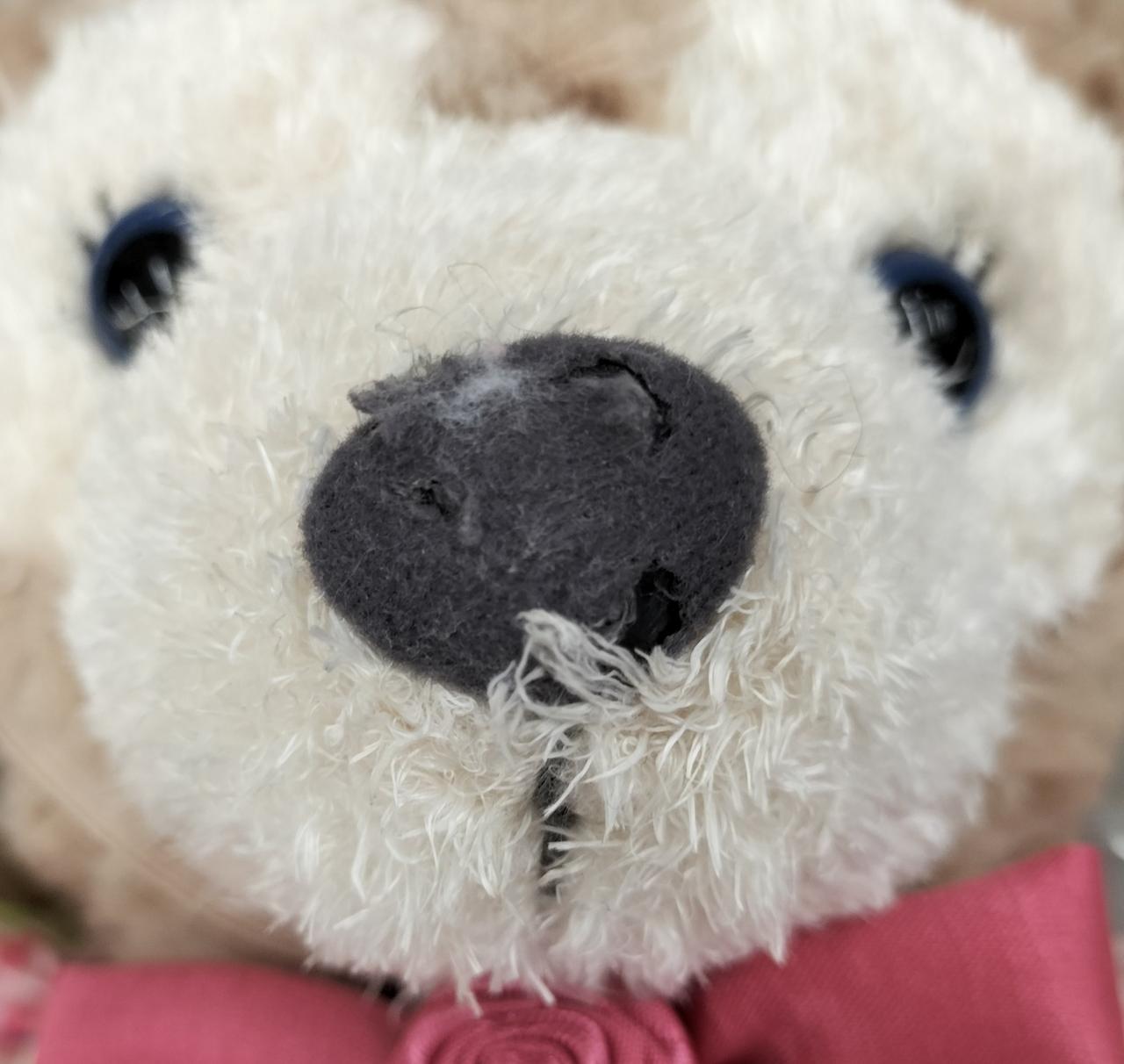 シェリーメイの鼻にダメージ有り