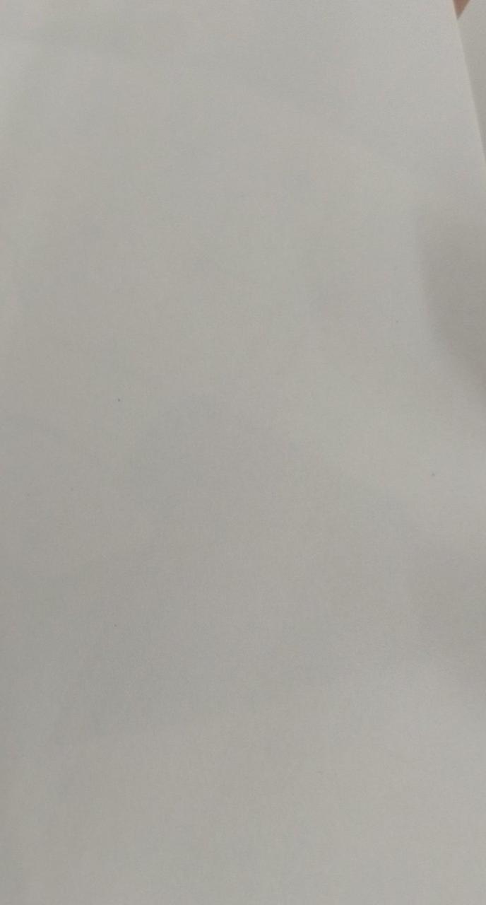 写真の様な黒い点が数カ所有ります