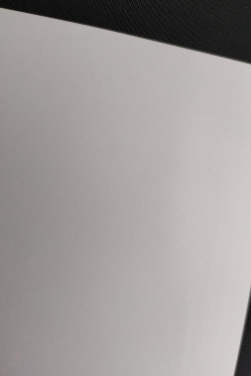 写真の様な黒い点が数カ所有ります