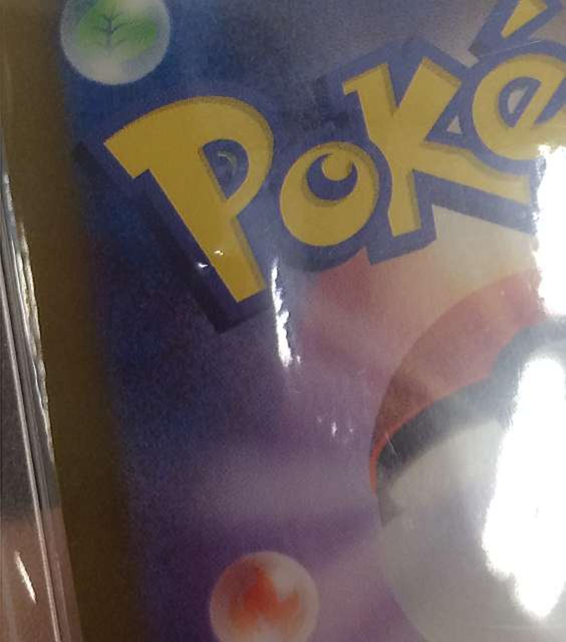 袋にダメージ有り