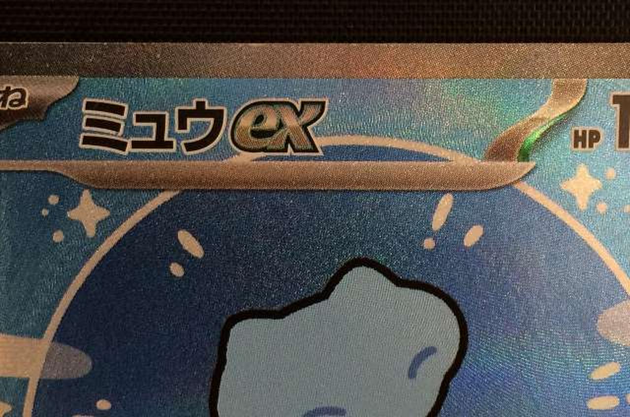 白欠け・擦れ有り