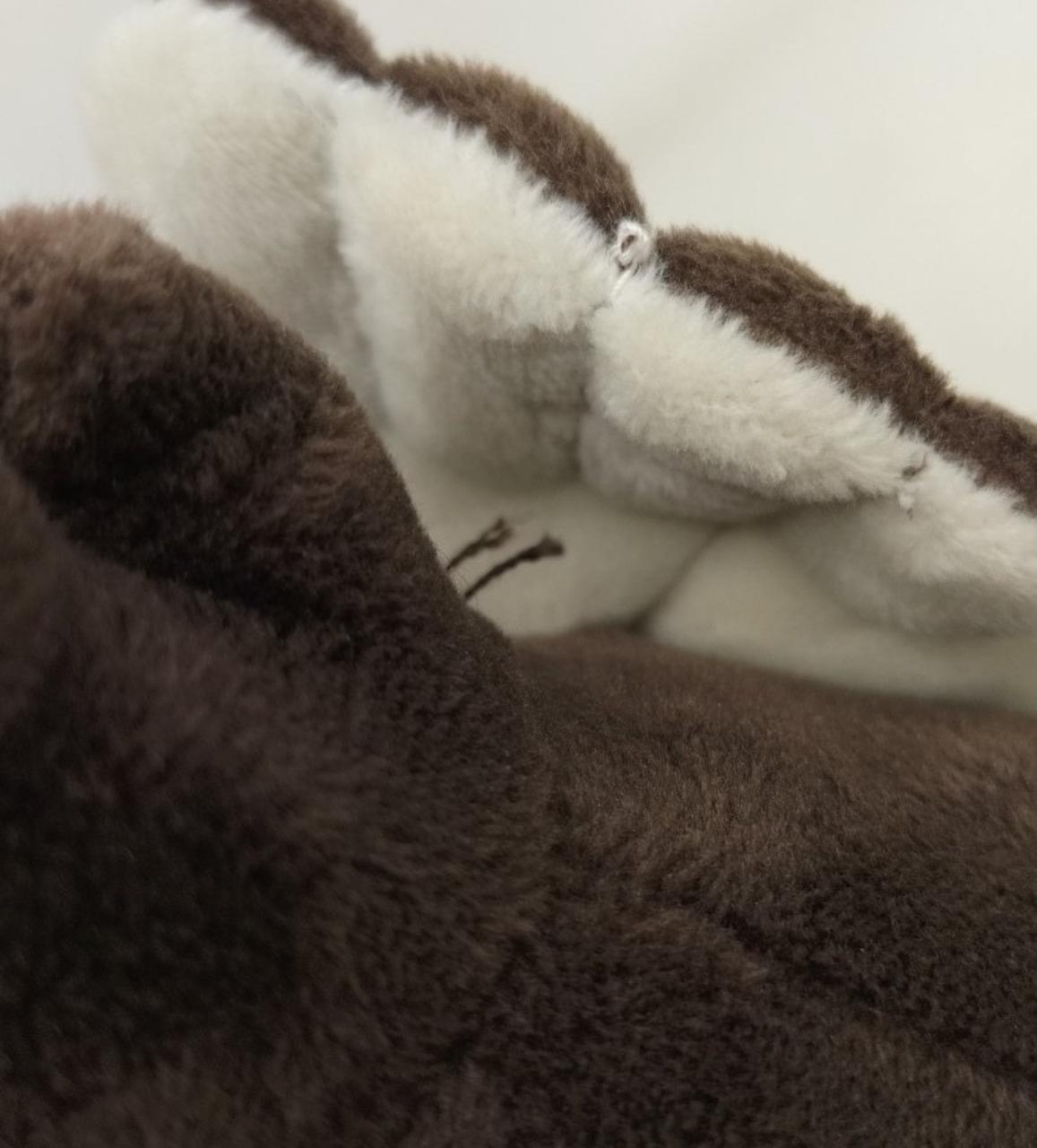 ダメージあり