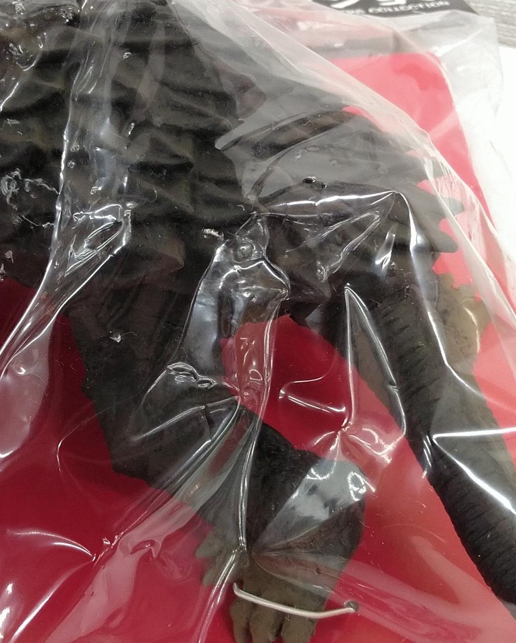 外袋にダメージあり