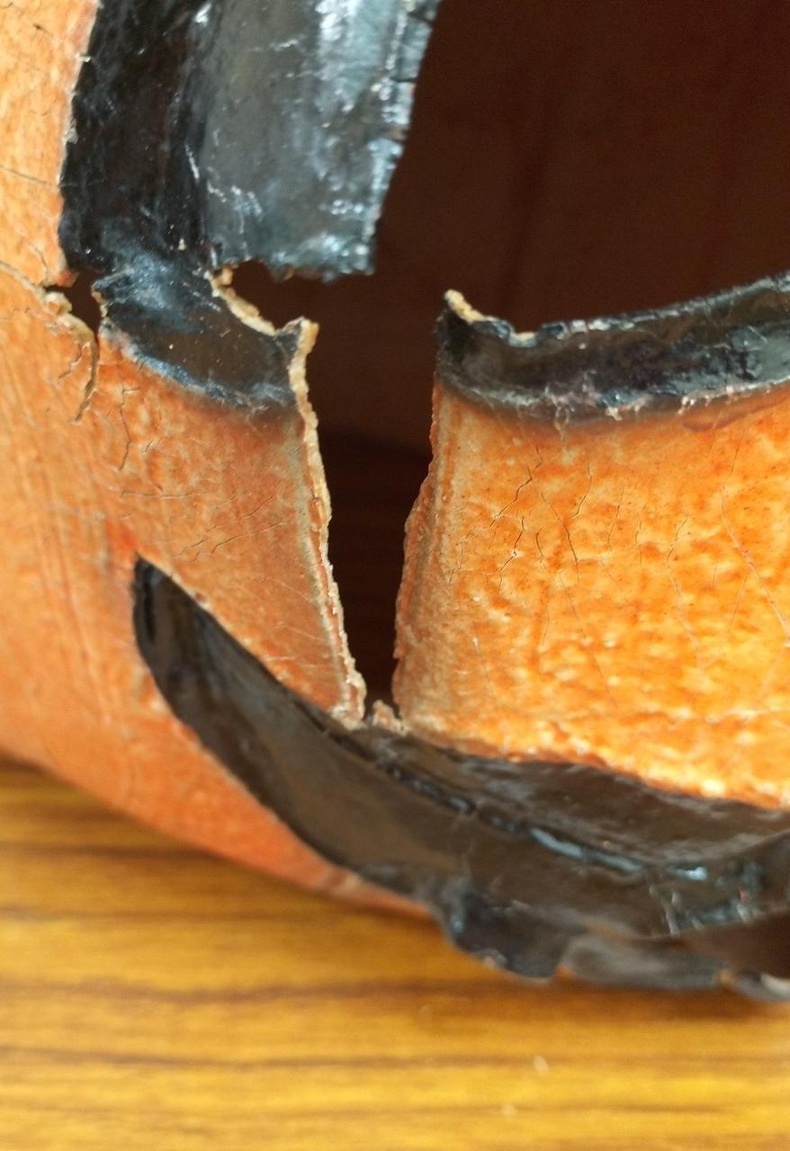 目立つ破れあり