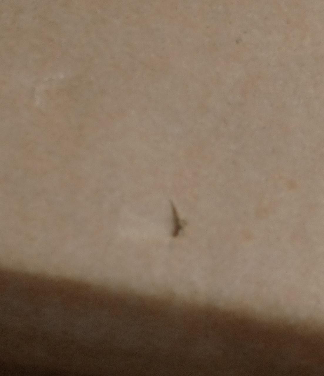 穴が空いています。