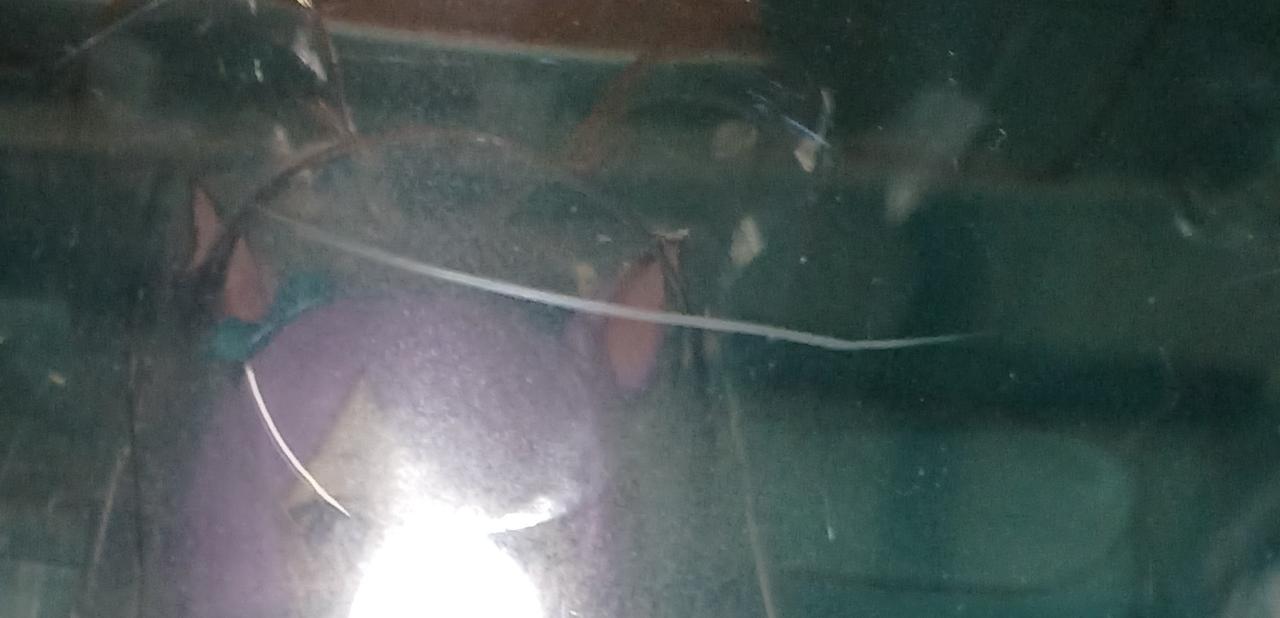 キズがあります。