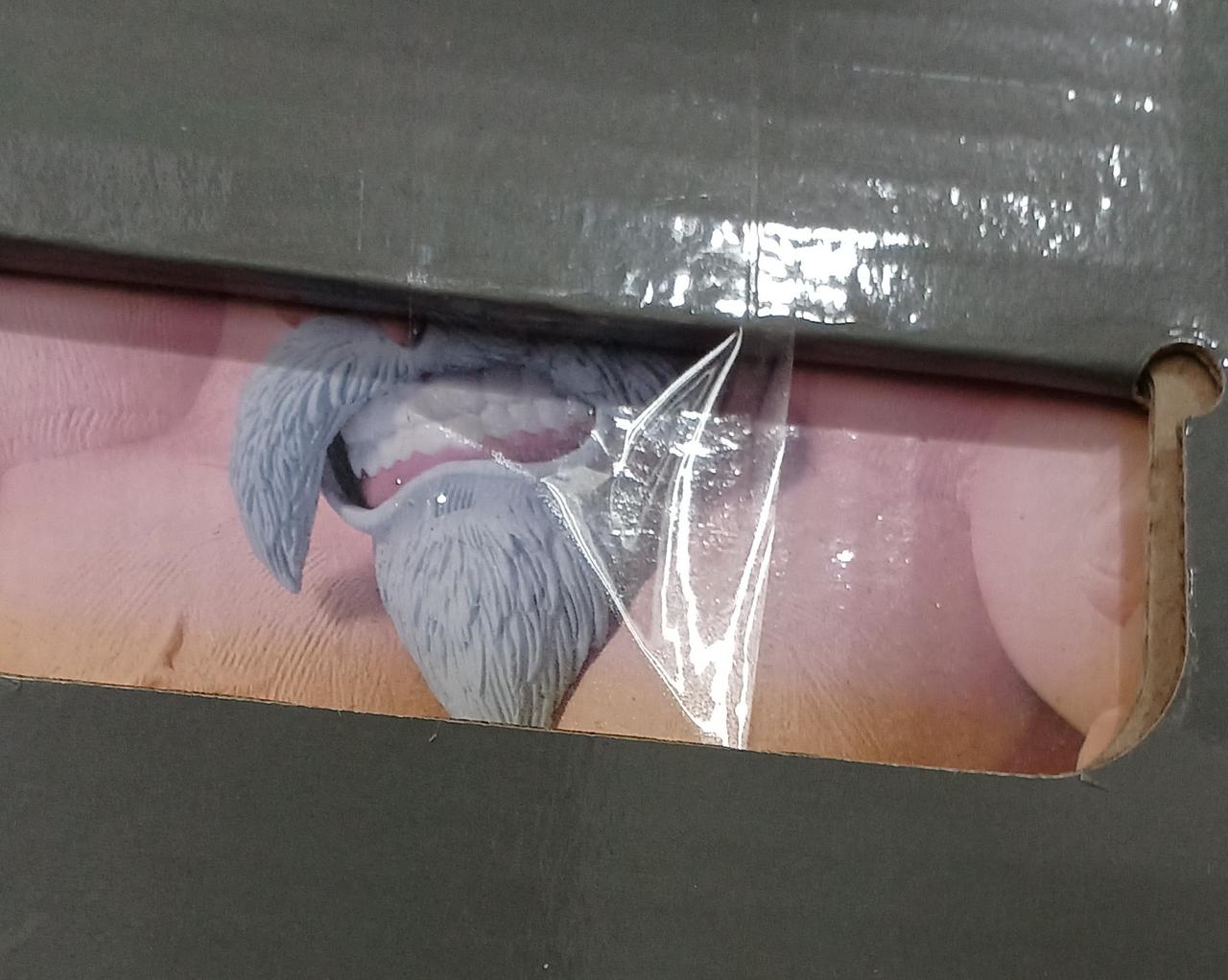 日焼けしています。