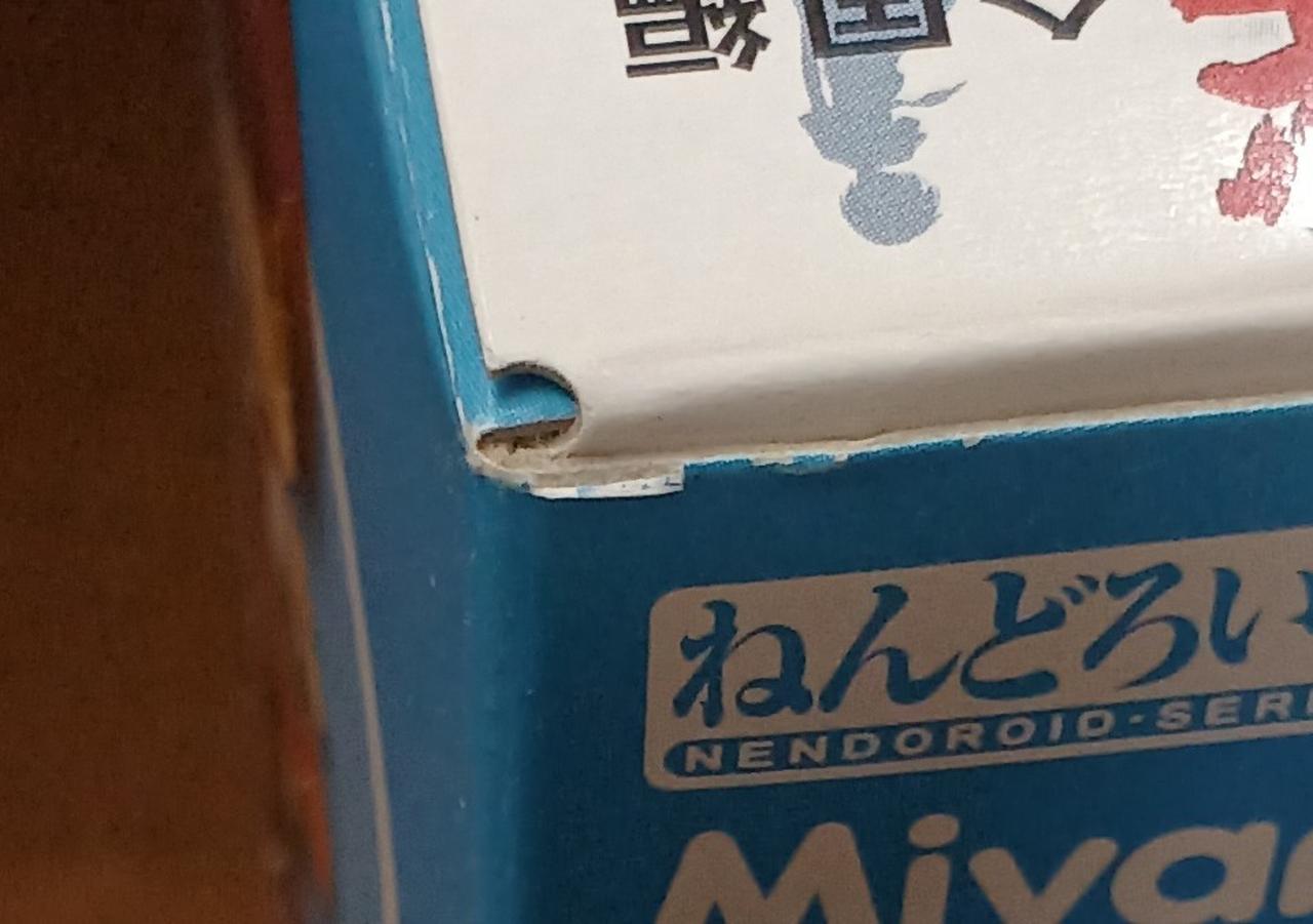 傷みがあります。