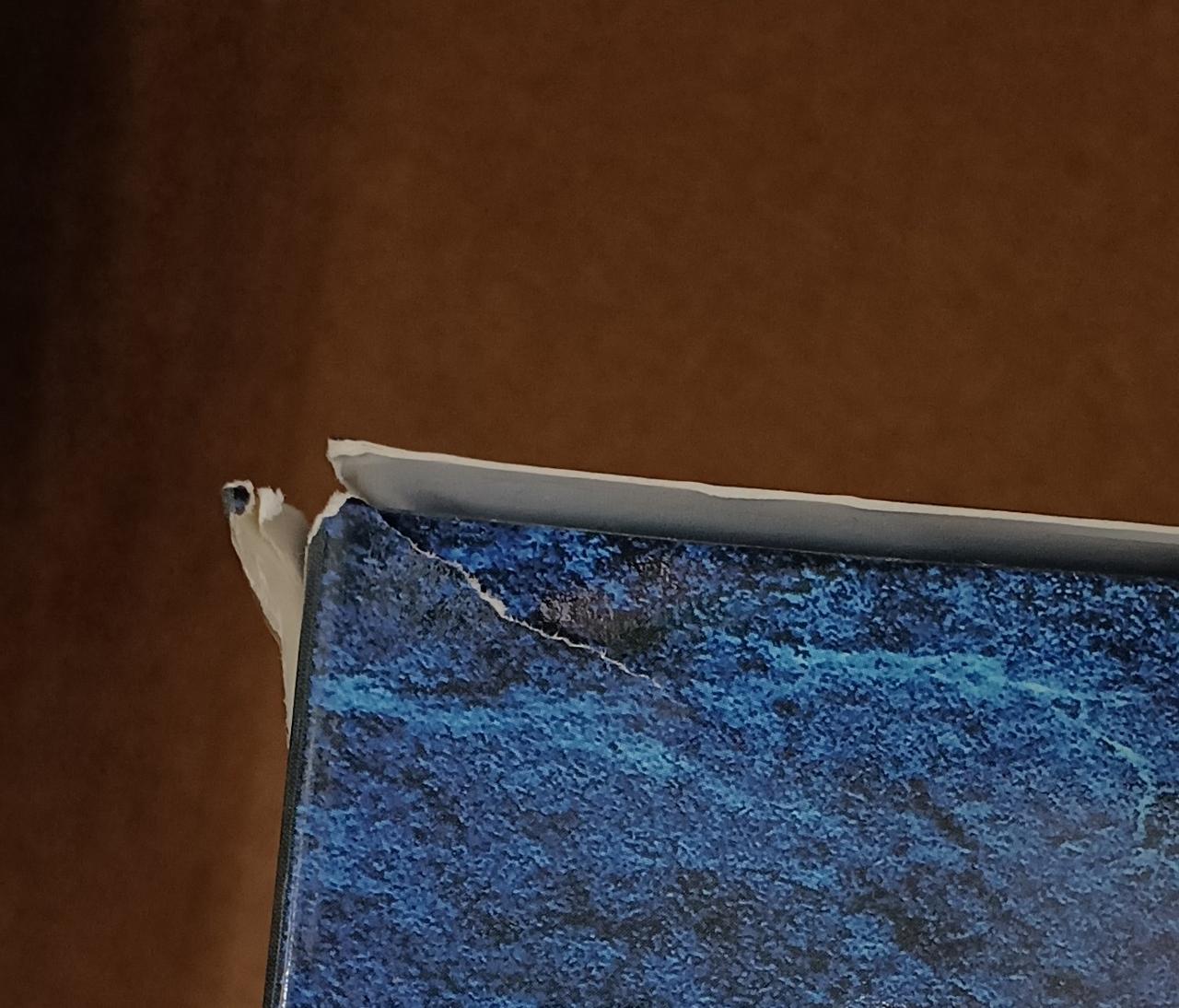 破れています。