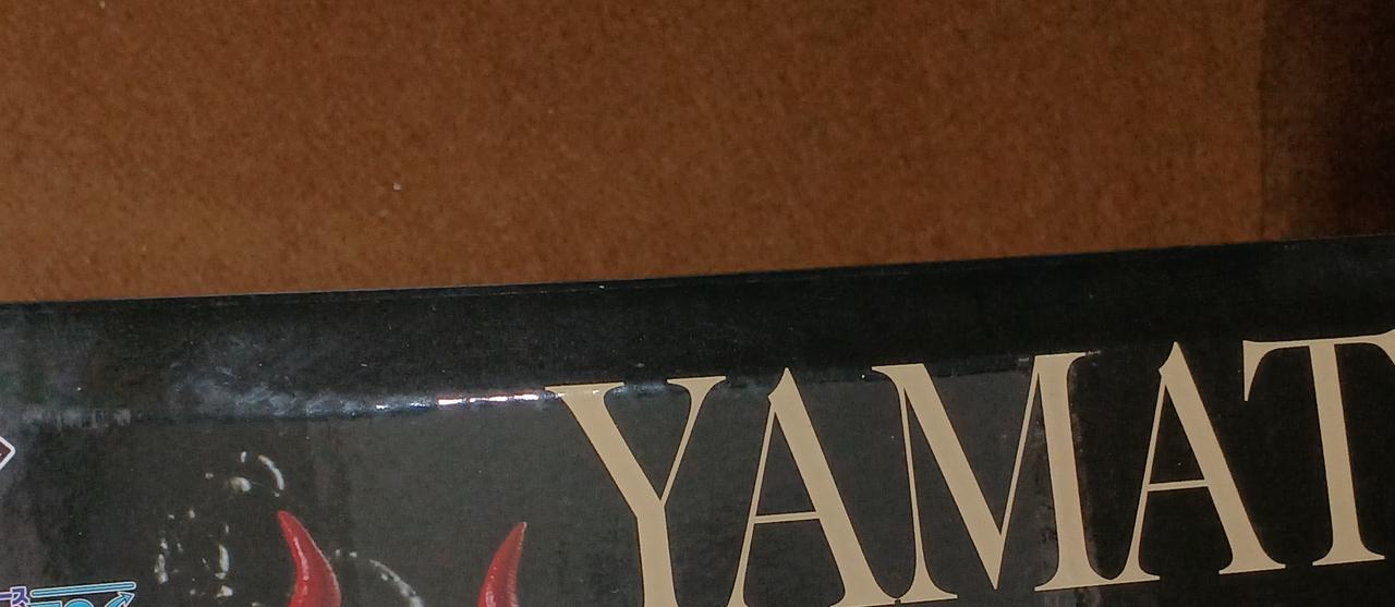 傷みがあります。