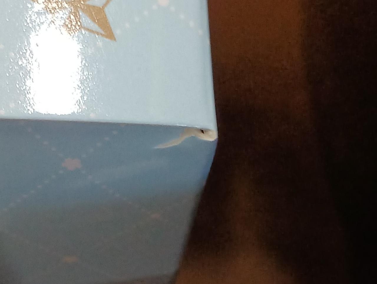 わずかに破れています。