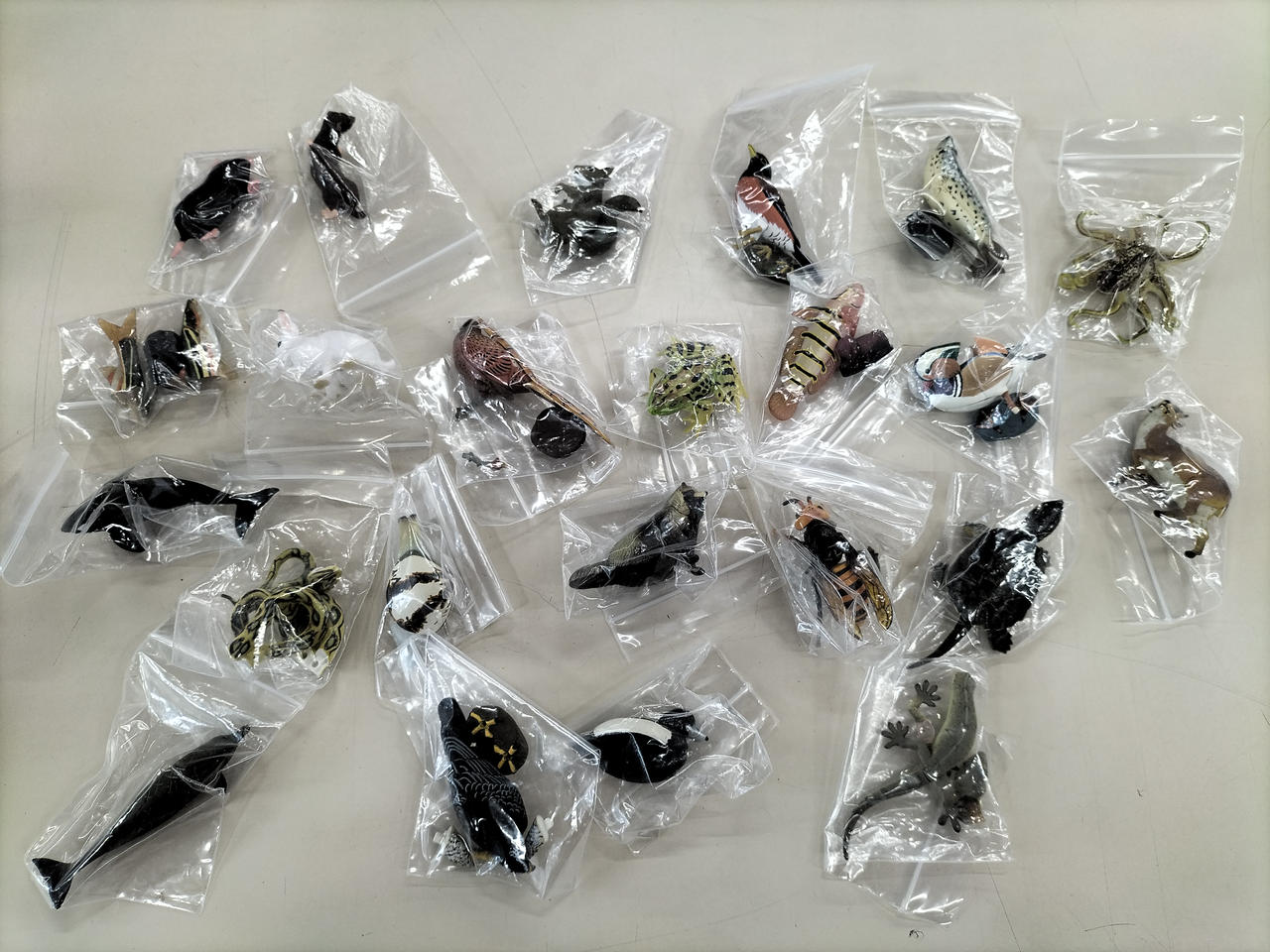第７弾