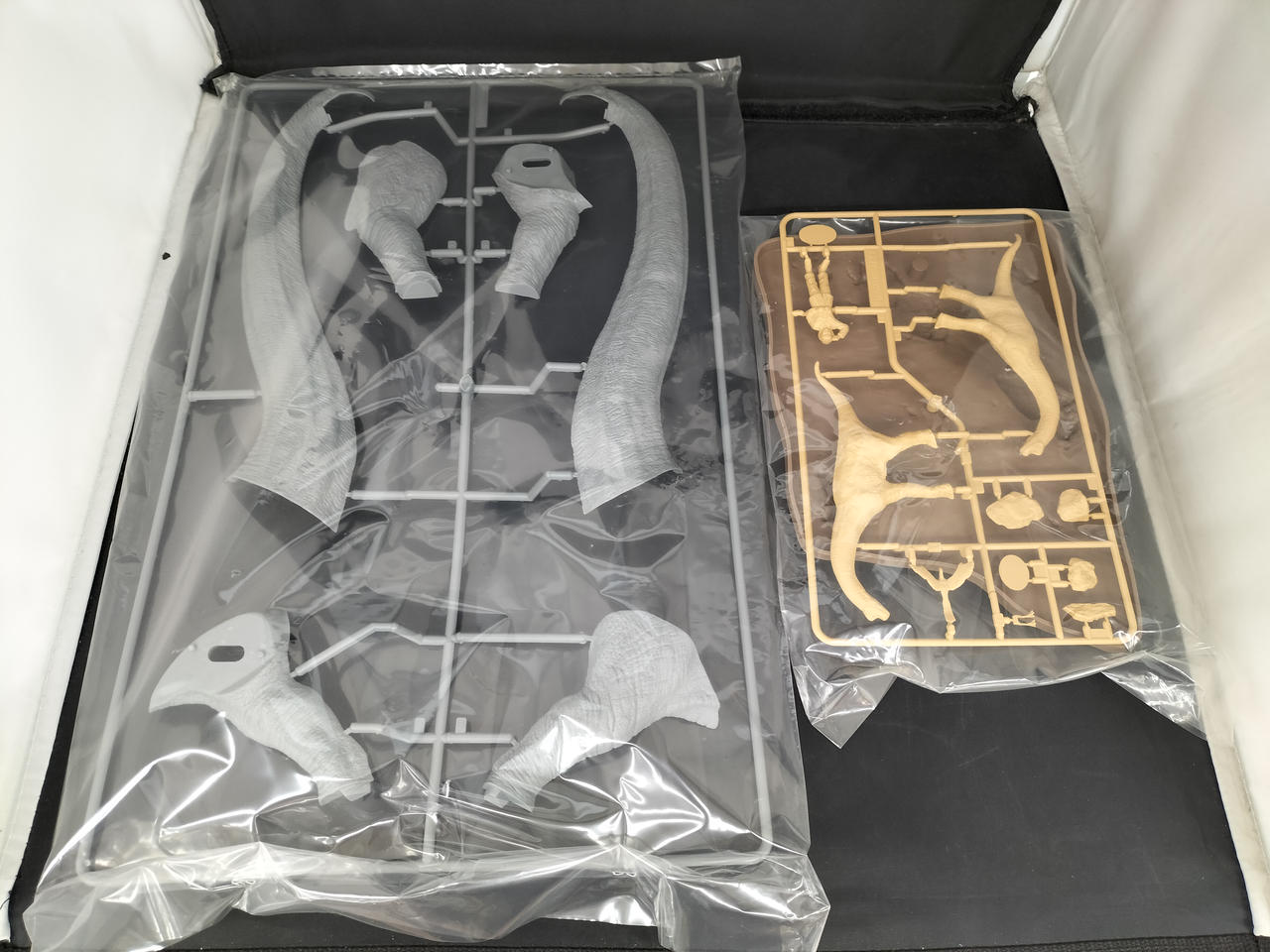 ブラキオ龍樹 3枚セット Amazon.co.jp: ワイルドリパブリック 恐竜 ぬいぐるみ