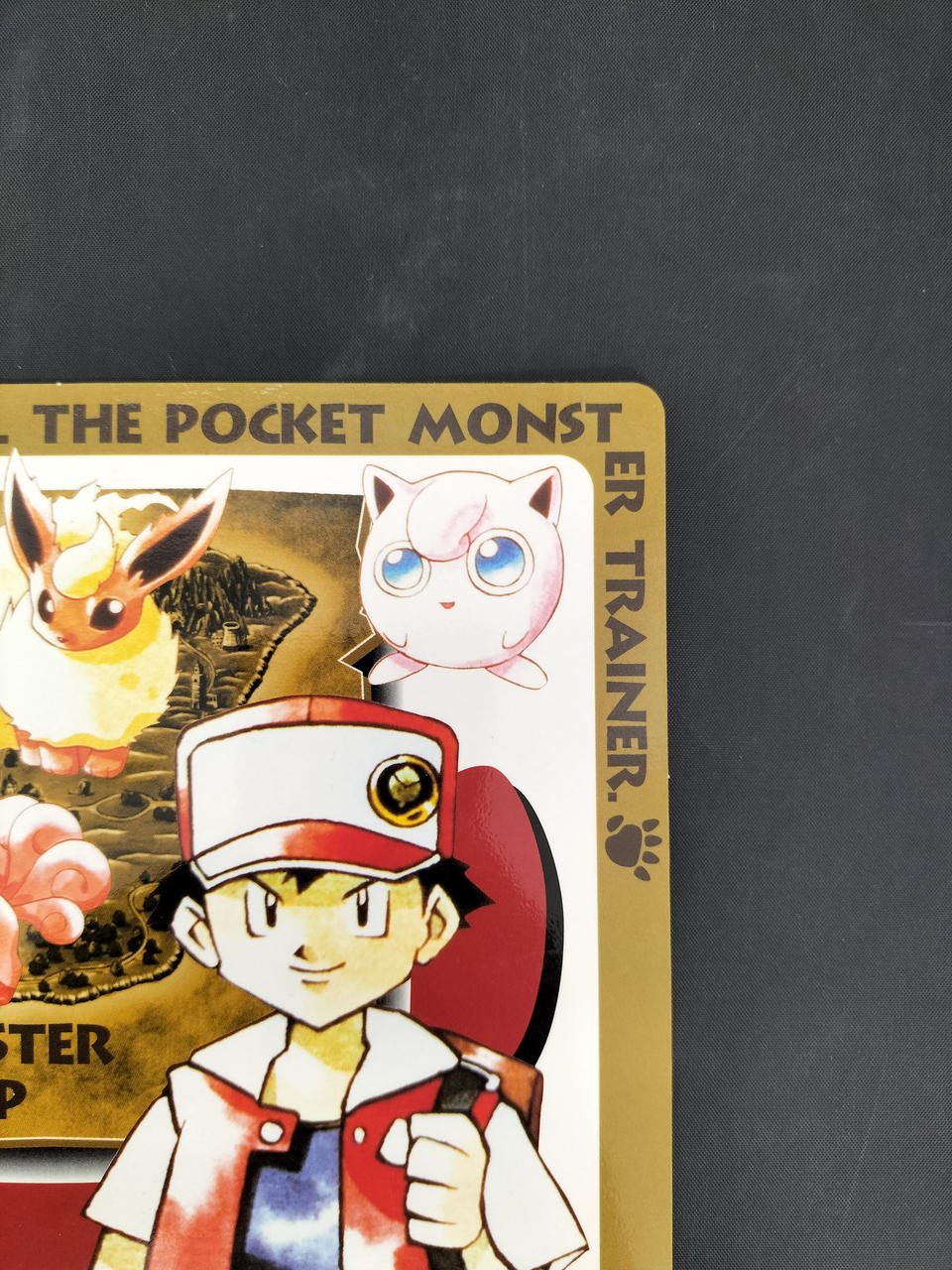 バンプレスト(BANPRESTO)|ポケモン大図鑑 VOL.3 下敷き|HARDOFF