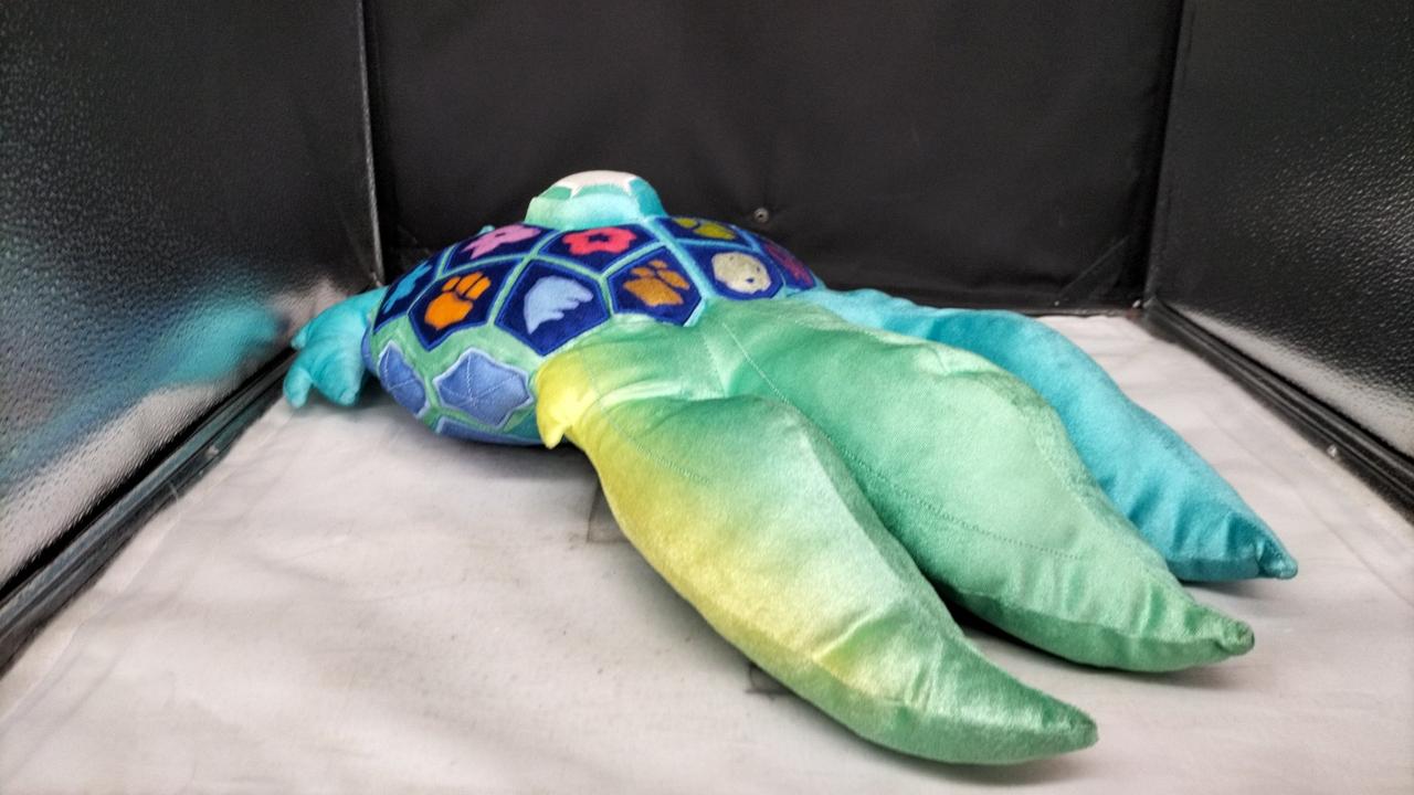 ポケモン|テラパゴス テラスタルフォルム|HARDOFFオフモール（オフモ