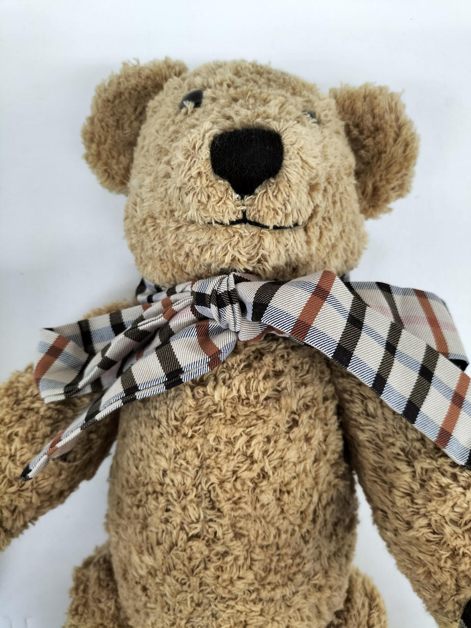 ダックス(DAKS)|テディベア|HARDOFFオフモール（オフモ）|2080660000119692