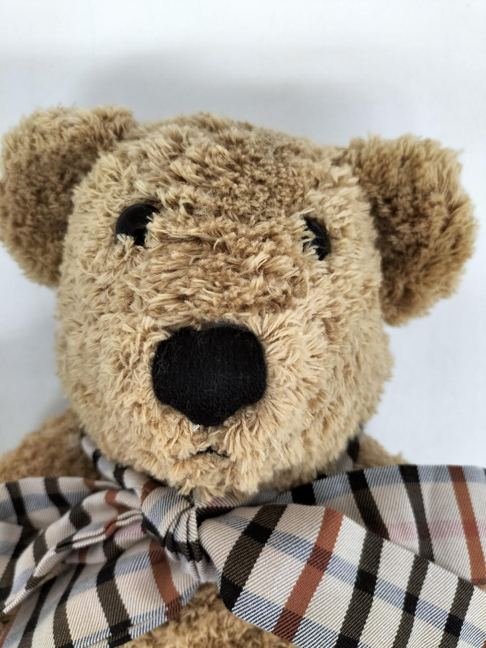 ダックス(DAKS)|テディベア|HARDOFFオフモール（オフモ）|2080660000119692