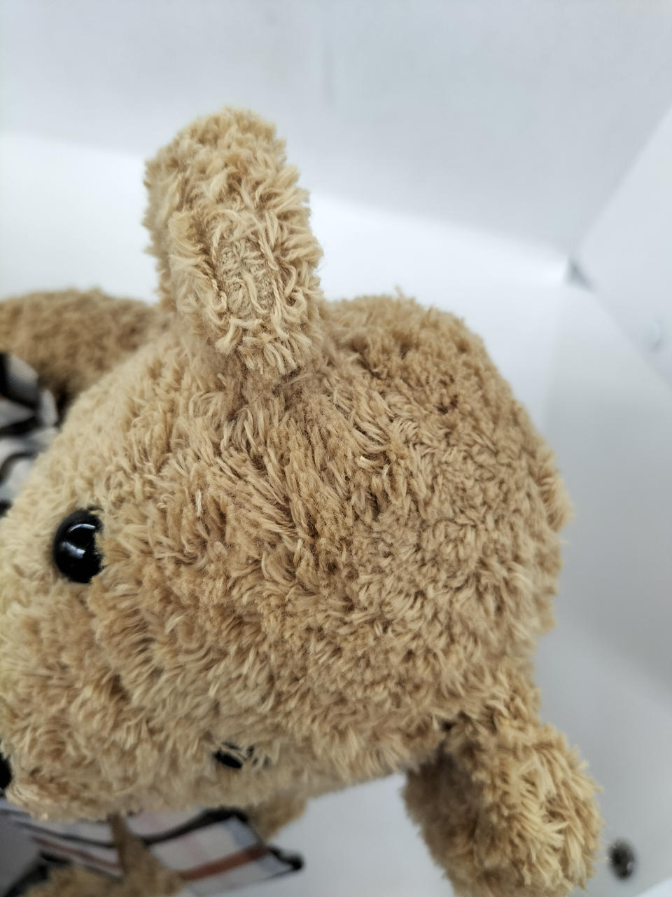 ダックス(DAKS)|テディベア|【ハードオフ公式通販】オフモール