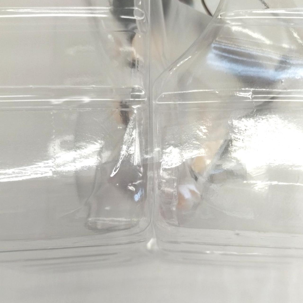 ブリスター未開封