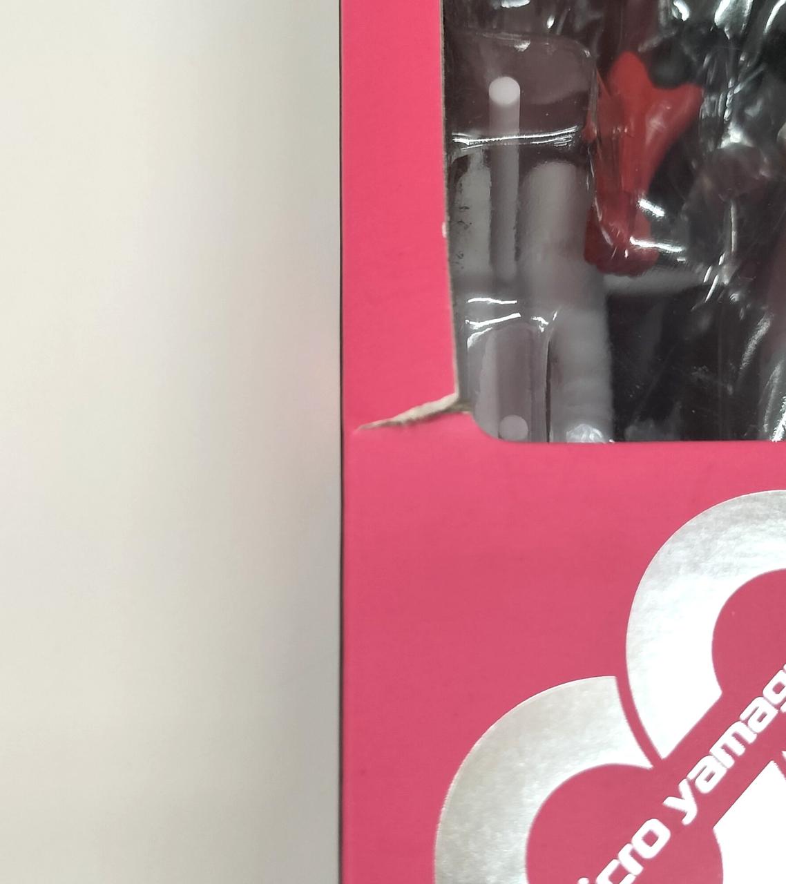 写真の箇所以外も含め箱に傷みがあります。