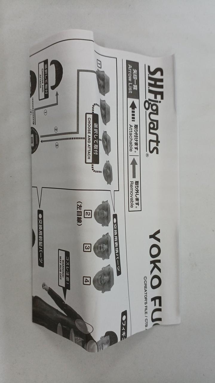 説明書折れあり