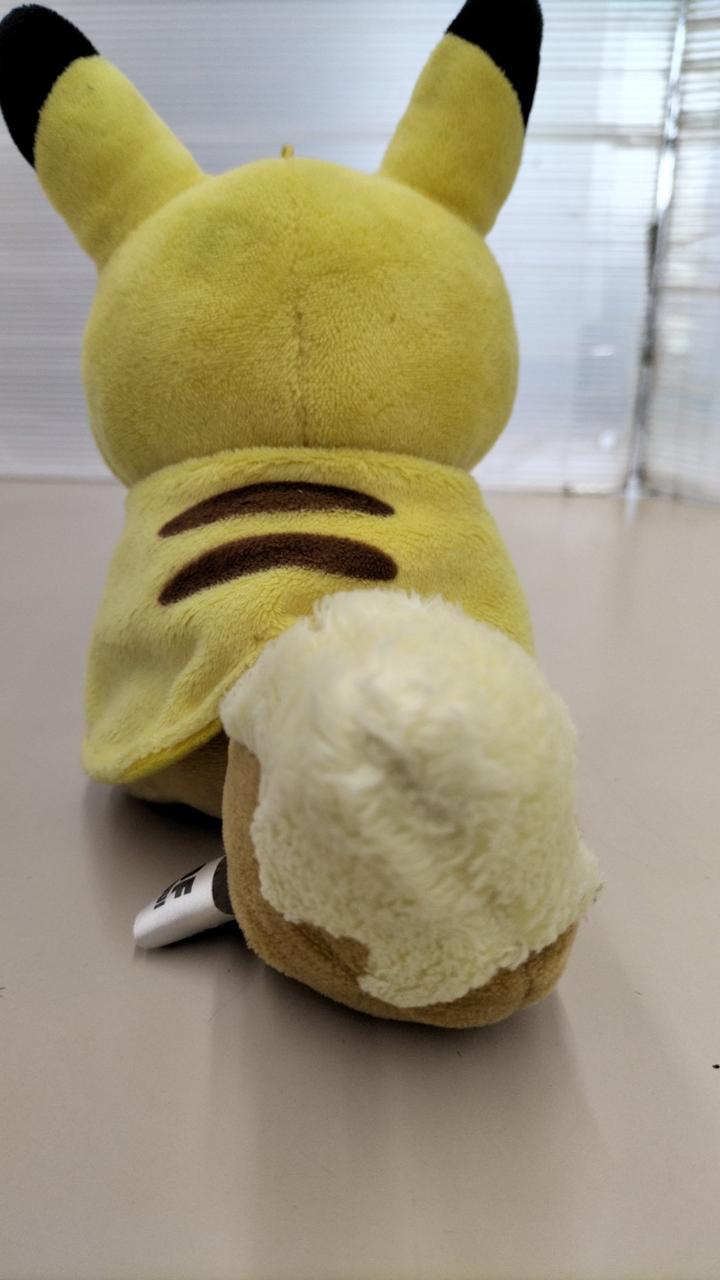 ポケモン クリアカード ポンチョ ピカチュウ カビゴン イーブイ