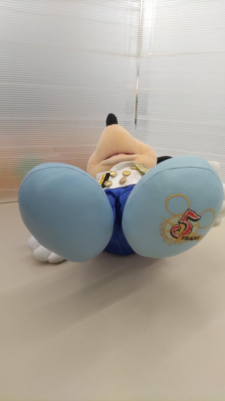 剥がれ汚れ多少あり