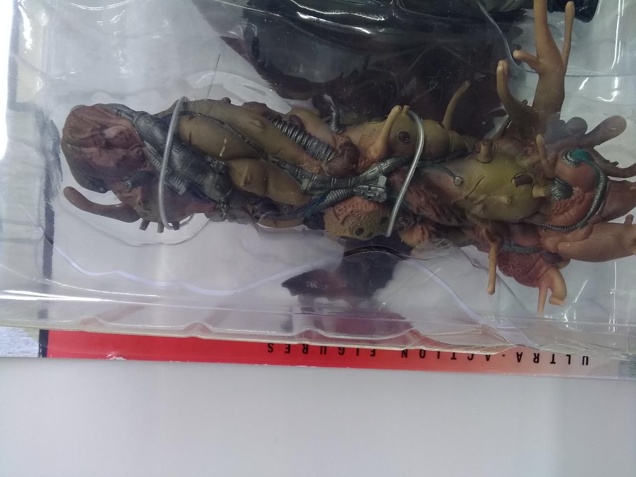 マクファーレントイズ アキラ テツオ Hardoffnetmall Webno