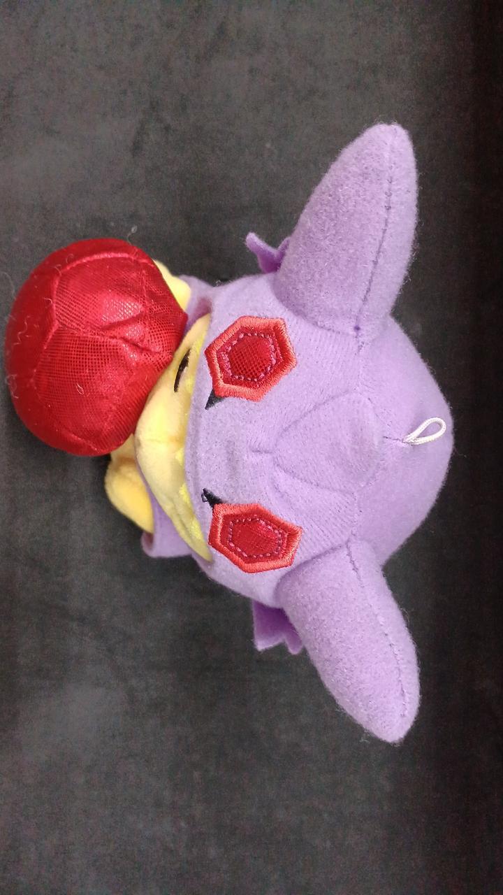 ポケモン|メガヤミラミのポンチョを着たピカチュウ ぬいぐるみ|HARDOFF