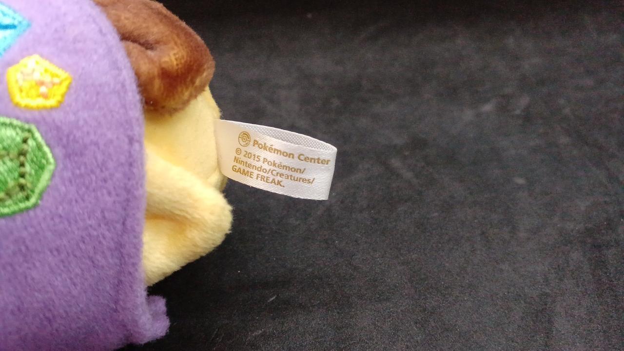 ポケモン|メガヤミラミのポンチョを着たピカチュウ ぬいぐるみ|HARDOFF