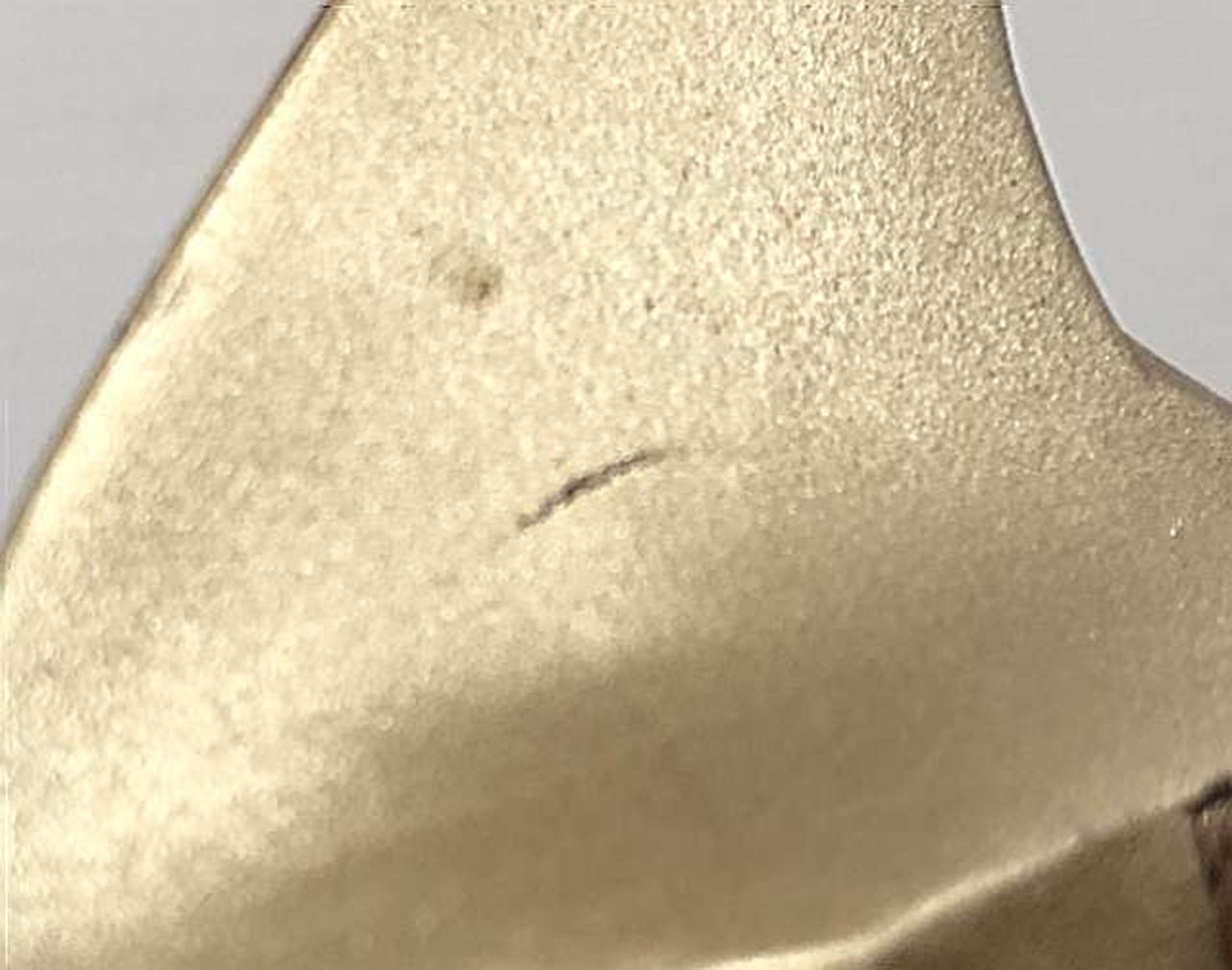 頭部にダメージあり