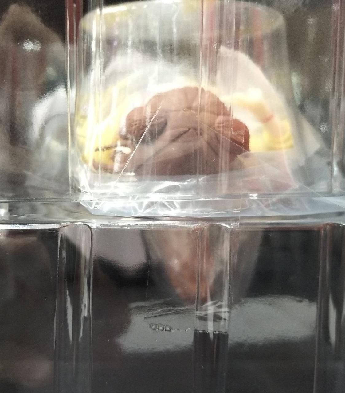 中箱未開封品です。