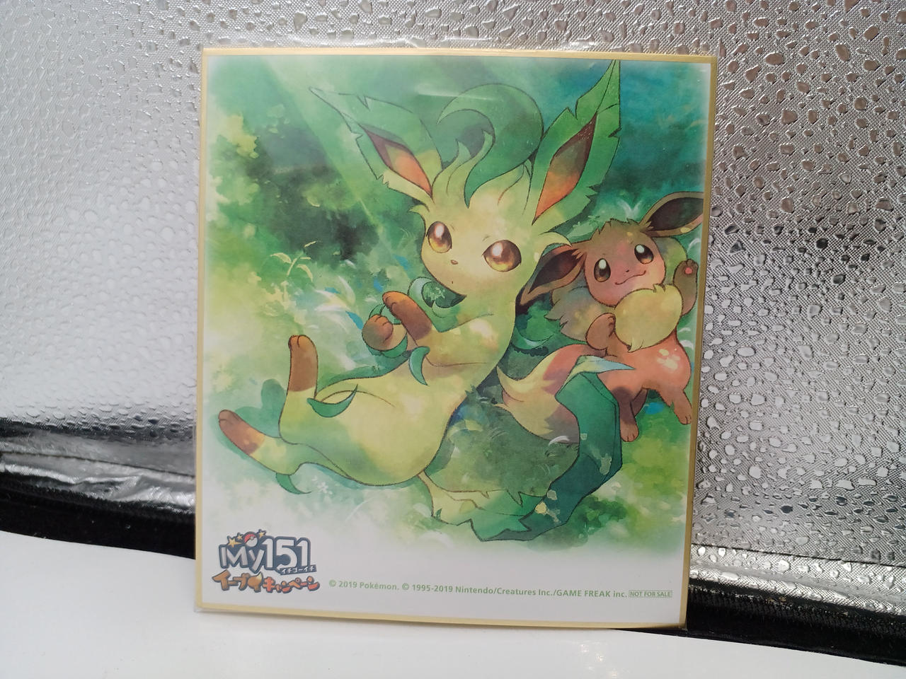 POKEMON|ポケットモンスター MY151イーブイキャンペーン第2弾|【ハード
