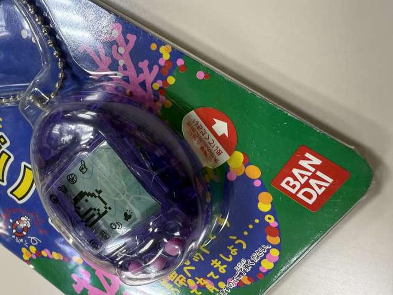 海で発見！たまごっち パープル 51ZuIX52uJL._AC_UL210_SR210,