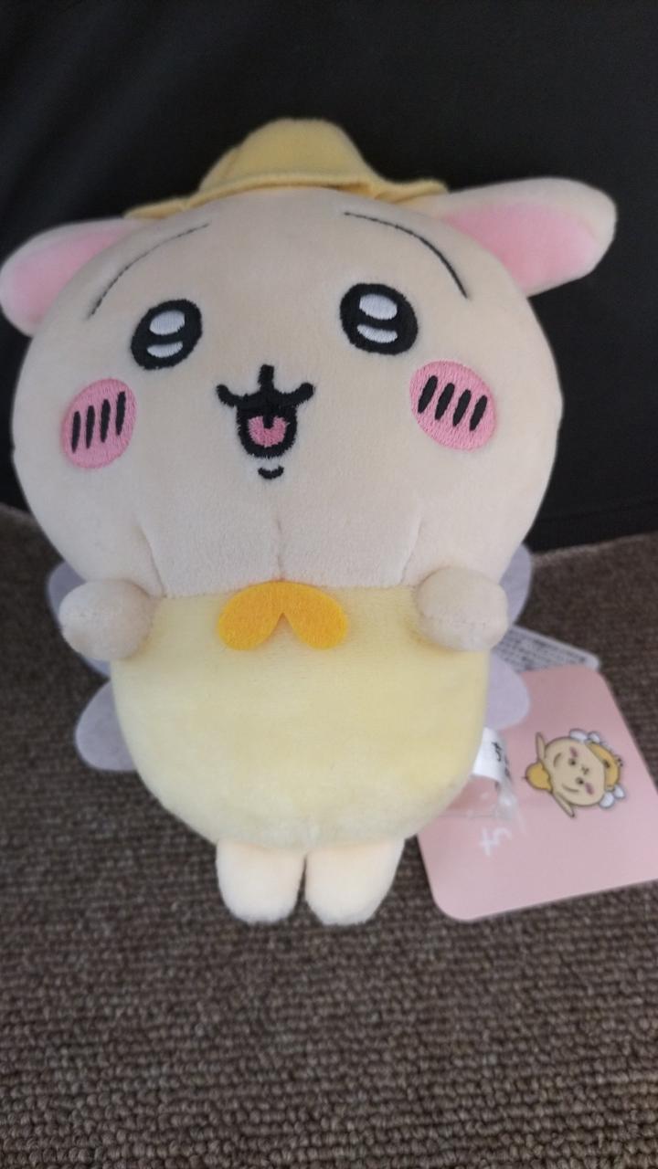 現状品での販売です