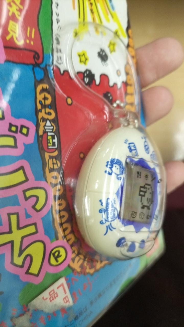 バンダイ|新種発見!!たまごっち|HARDOFFオフモール（オフモ
