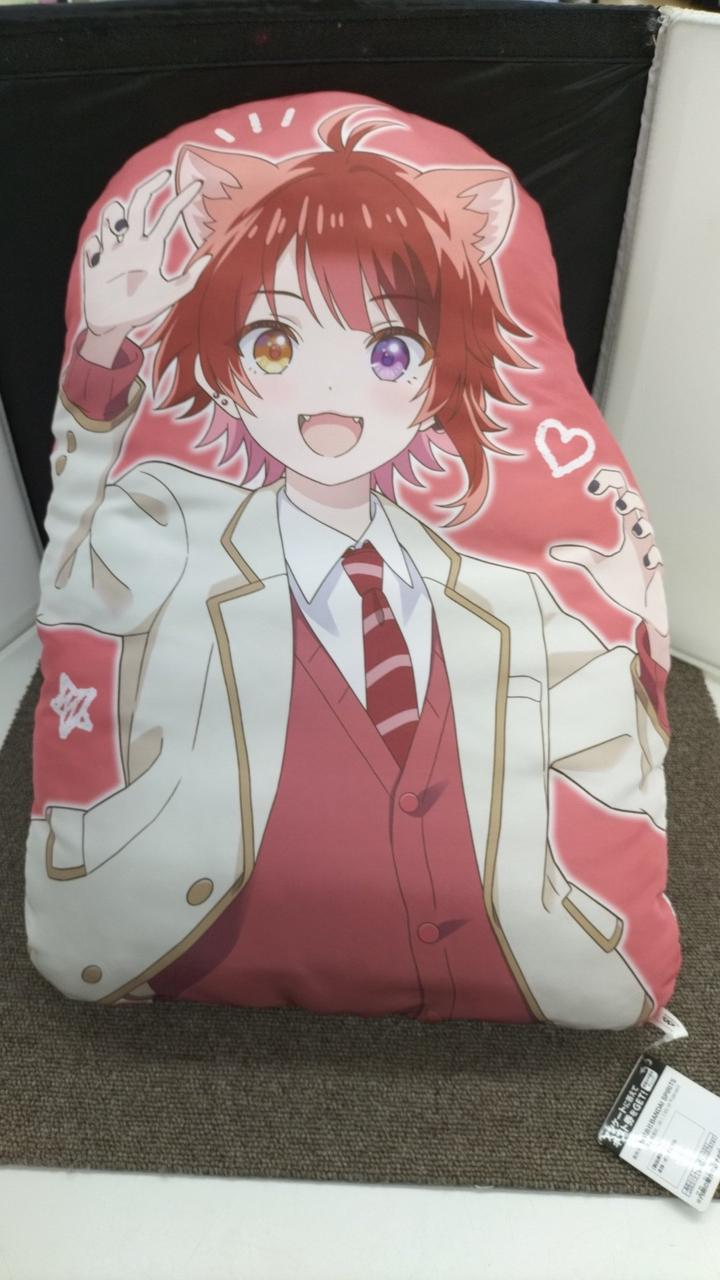 現状品での販売です