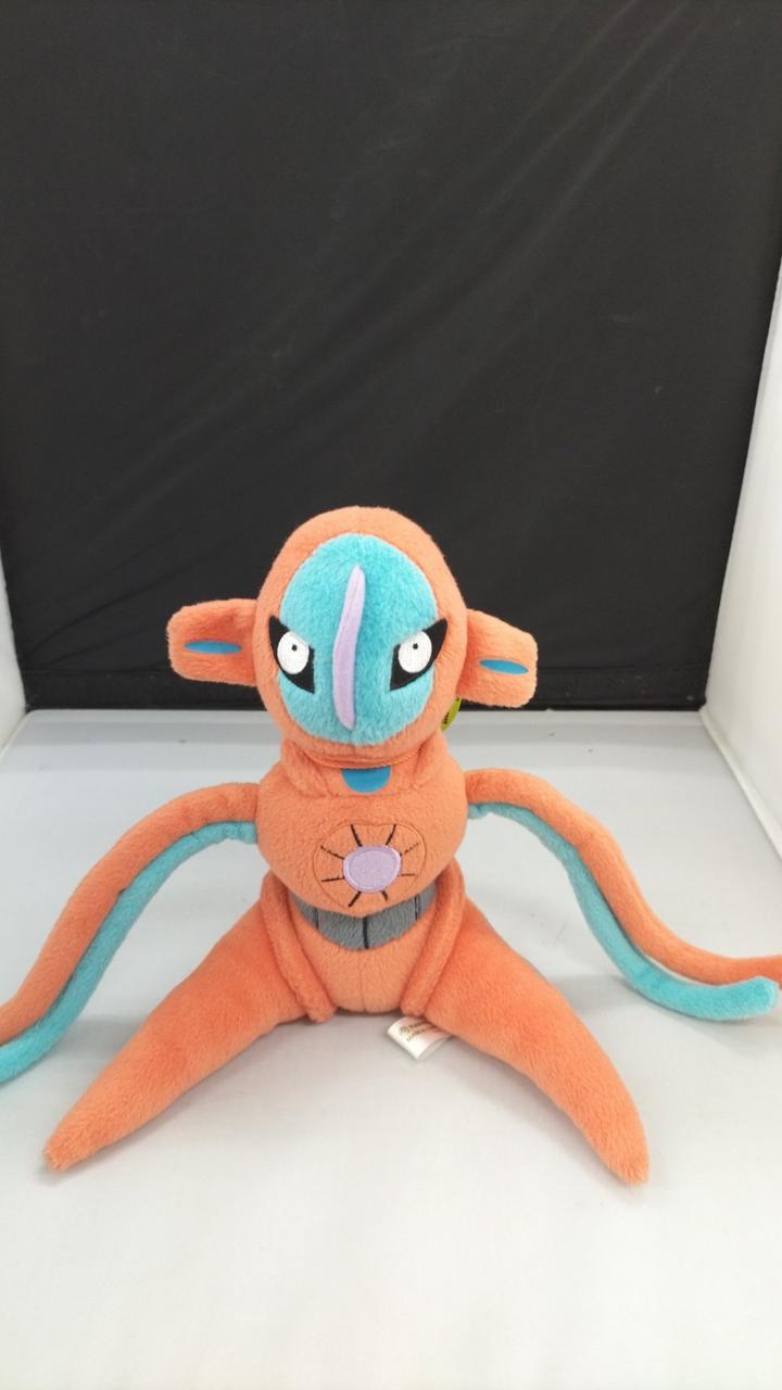 タグ無し現状品です