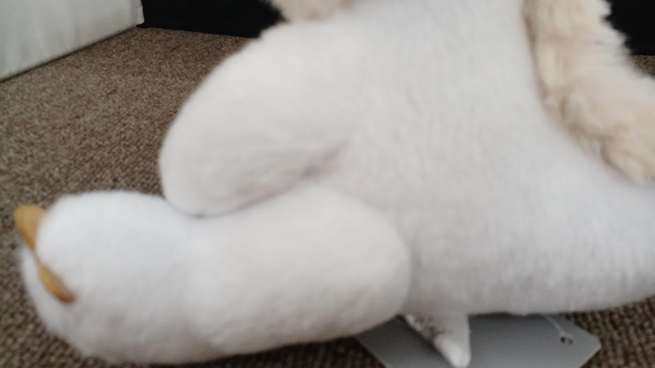 うっすらと汚れ有