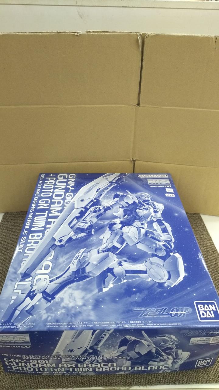 パーツ確認済、未組立品